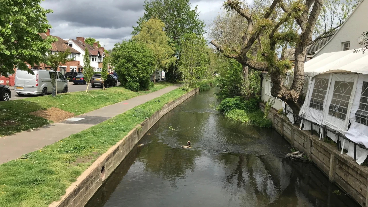 Woodlands Riverside Walk(1)